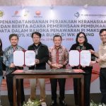 WhatsApp Image 2025-11-19 at 07.58.05