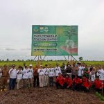 WhatsApp Image 2025-11-25 at 14.29.51