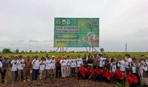 WhatsApp Image 2025-11-25 at 14.29.51