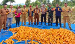 FB_IMG_1765197571443