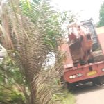 FB_IMG_1765504367887