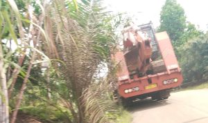 FB_IMG_1765504367887